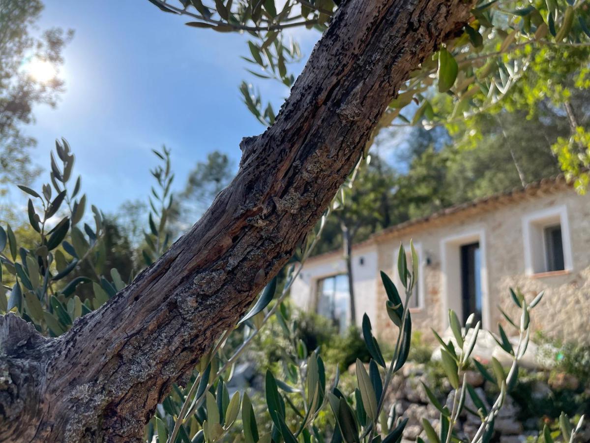 Appartamento Eva'S Cabanon Cabasse Esterno foto